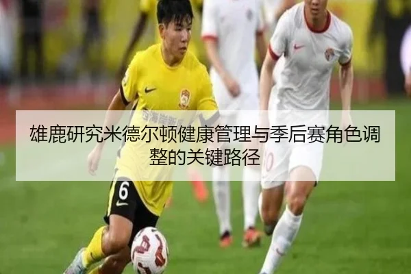 雄鹿研究米德尔顿健康管理与季后赛角色调整的关键路径