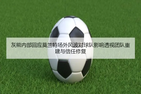 灰熊内部回应莫兰特场外风波对球队影响透视团队重建与信任修复