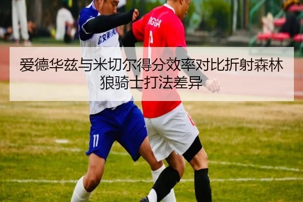 爱德华兹与米切尔得分效率对比折射森林狼骑士打法差异